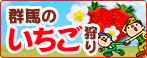 群馬のいちご狩り