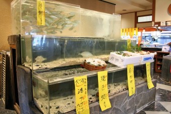 いけす