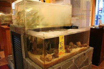 いけす