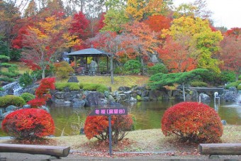 桜山公園の「日本庭園」