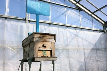 ミツバチ小屋