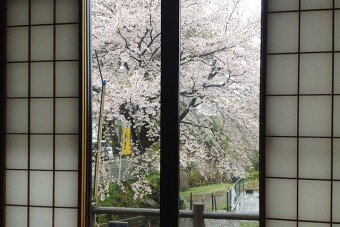 窓からの景色も良く春のお花見にも最適