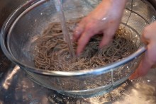 【5】冷水にさらしてキュッと引き締めます