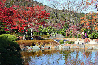 日本庭園と紅葉が楽しめる秋の桜山公園