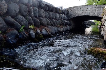 透き通る綺麗な水が流れる雄川堰