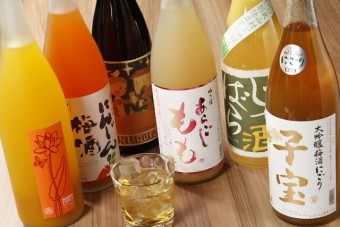 梅酒・果実酒各種