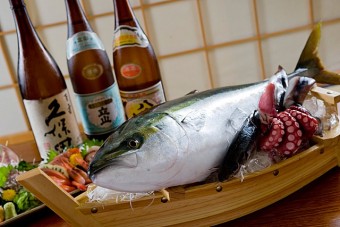 日本海の新鮮な魚介類