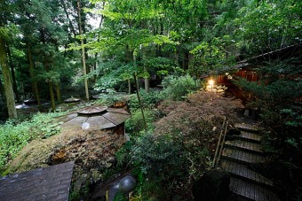 杉木立の中に点在する八角棟