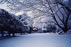 冬の高崎公園