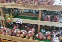 東吾妻地域のリンゴ