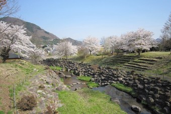 春には桜が満開になる矢瀬親水公園