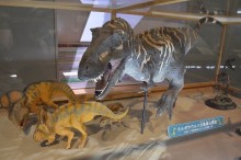 タルボサウルス生態復元模型