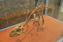プシッタコサウルス・モンゴリエンシス