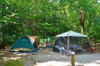 テントサイトでのキャンプ