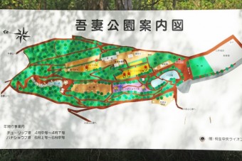 吾妻公園マップ