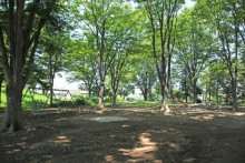 木立に囲まれた遊具広場