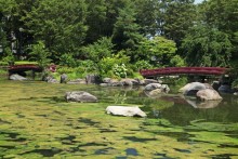 御布呂が池（日本庭園）