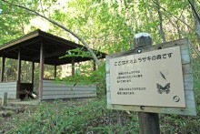 オオムラサキ観察舎
