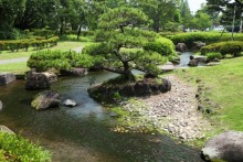 日本庭園（川と松）