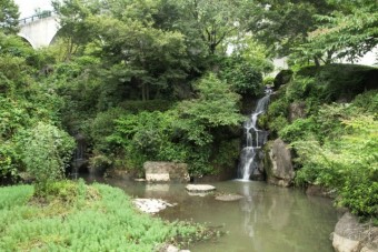 親水公園（日本庭園）