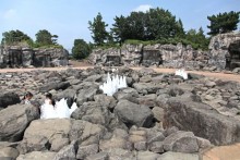 岩石噴水広場全景