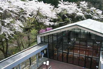食堂&体操場の外観。春は桜がきれいです。