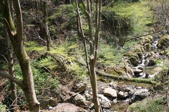 施設のすぐ隣には小川のせせらぎが…