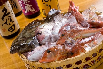 日本海の新鮮な魚貝類