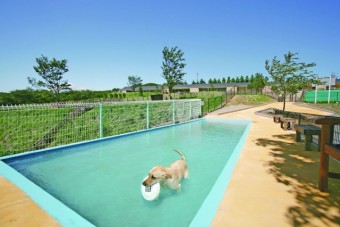 大型犬用プール