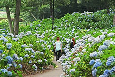 赤城の「荻窪公園」がおすすめ