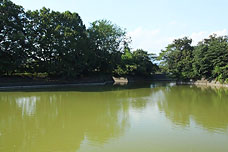 赤城の「女渕城址公園」がおすすめ