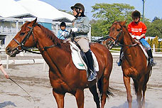 赤城の「群馬県馬事公苑」がおすすめ
