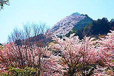 みなかみの観光は柄杓山がおすすめ