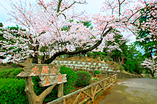 みなかみの観光は水道山公園がおすすめ