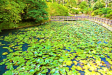 みなかみの観光は吾妻公園がおすすめ