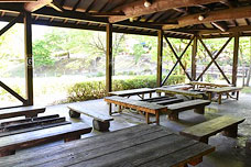 ��e������