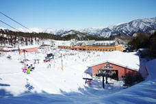 みなかみの観光はノルン水上スキー場がおすすめ