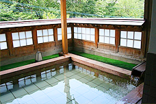 渋川・伊香保の「ホテル銀水」がおすすめ