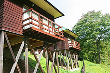 富岡の「はこただみキャンプ場」がおすすめ