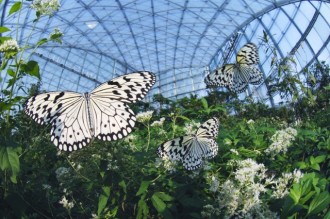 自然に触れて、日帰り温泉でゆったり。家族におすすめ！半日のんびりコース