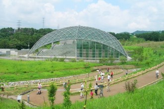 昆虫観察館は、生きた昆虫を観察できる貴重な施設。