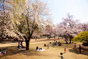 敷島公園