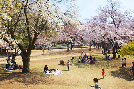 敷島公園