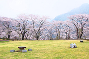 東運動公園