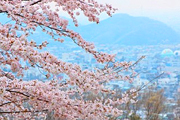 水道山公園