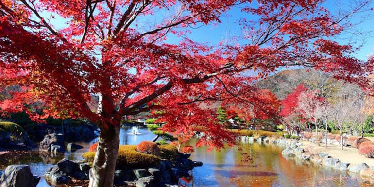 群馬の紅葉特集 群馬県内の紅葉スポットをご紹介 だんべー Com