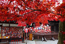 少林山達磨寺