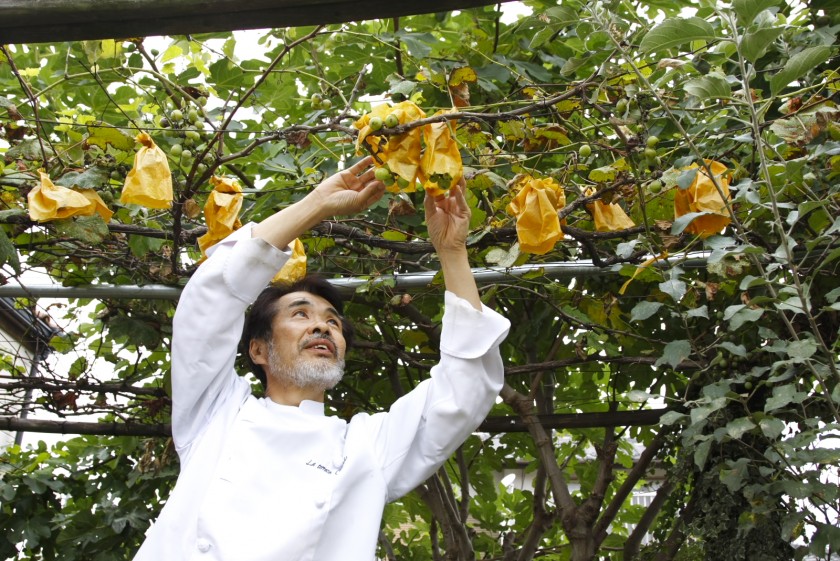 自家菜園で採れた安心・安全な食材を多様