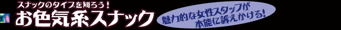 スナックのタイプを知ろう！ お色気系スナック