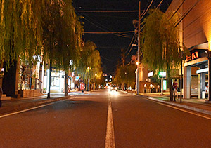 柳が生える柳川町のメインストリート